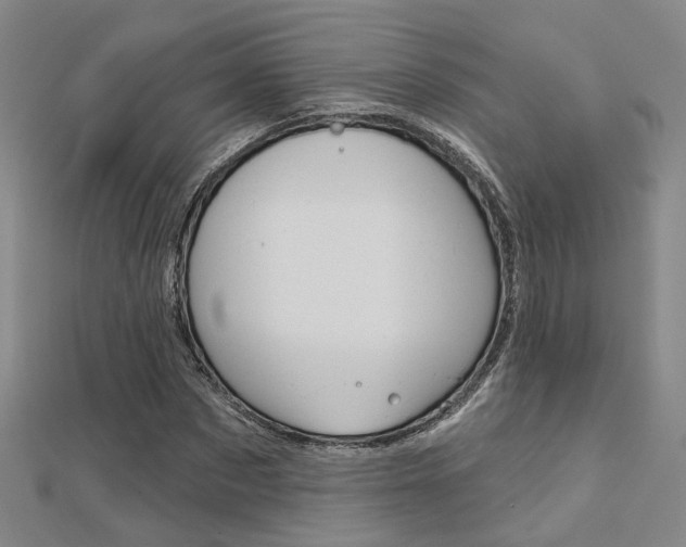 X0000112160873200908070936