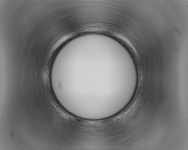 X0000112160874200908070936