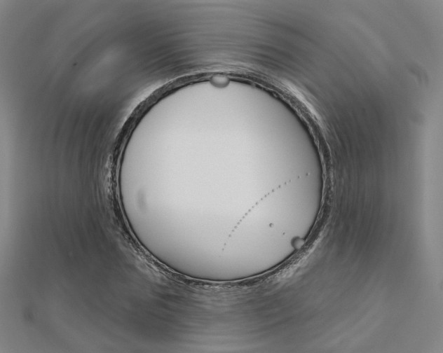 X0000112160875200908070936