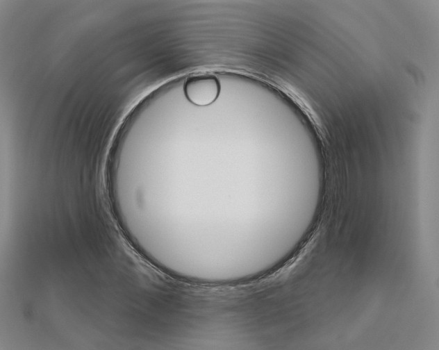 X0000112160876200908070936