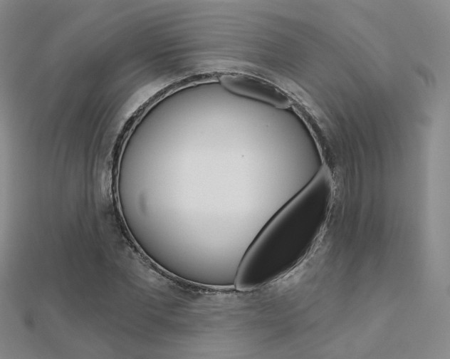 X0000112160877200908070936
