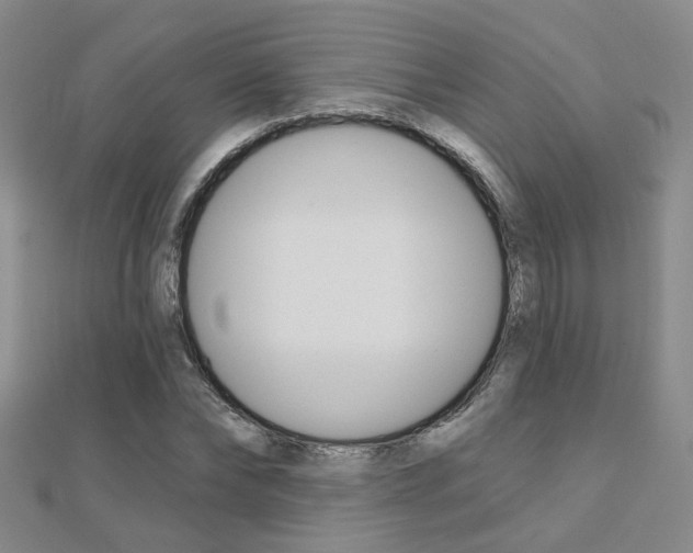 X0000112160878200908070936