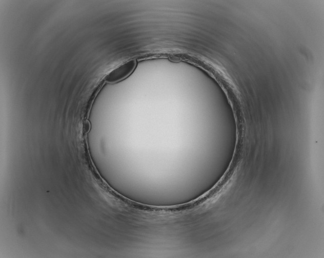 X0000112160881200908070936