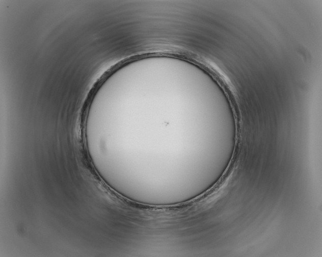 X0000112160883200908070936