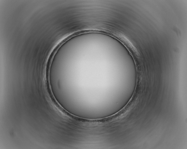 X0000112160884200908070936