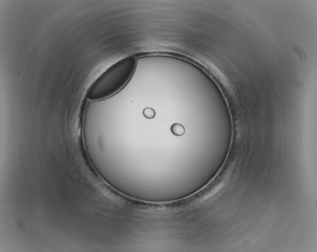 X0000112160885200908070936