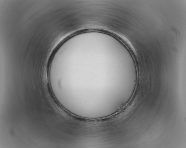 X0000112160887200908070936
