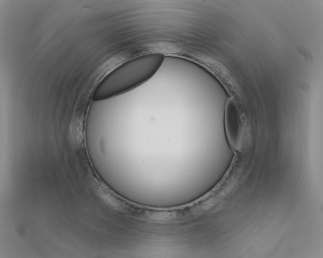 X0000112160889200908070936