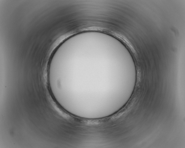 X0000112160890200908070936
