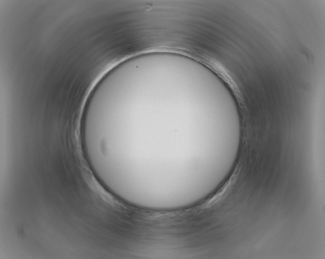 X0000112160892200908070936