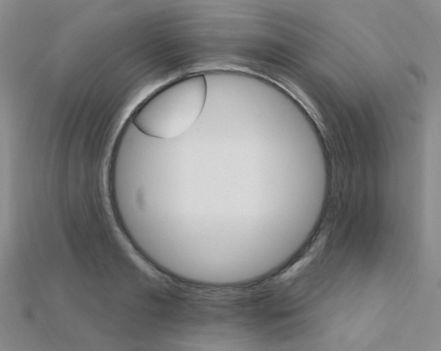 X0000112160893200908070936