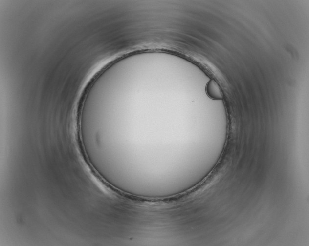 X0000112160894200908070936