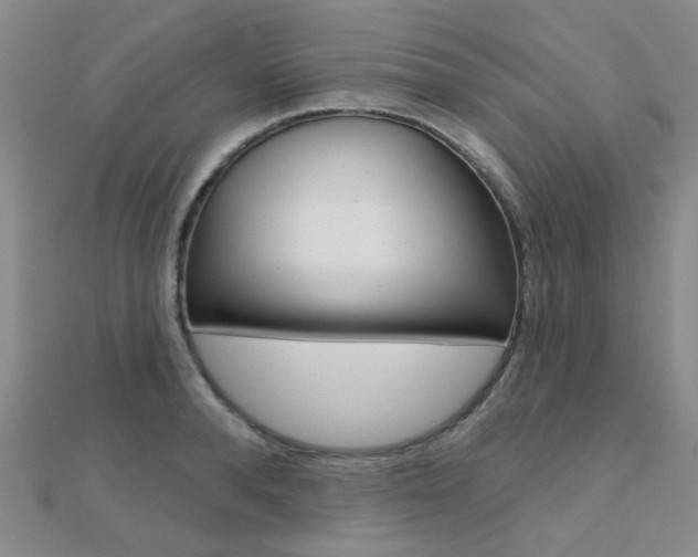 X0000112160896200908070936