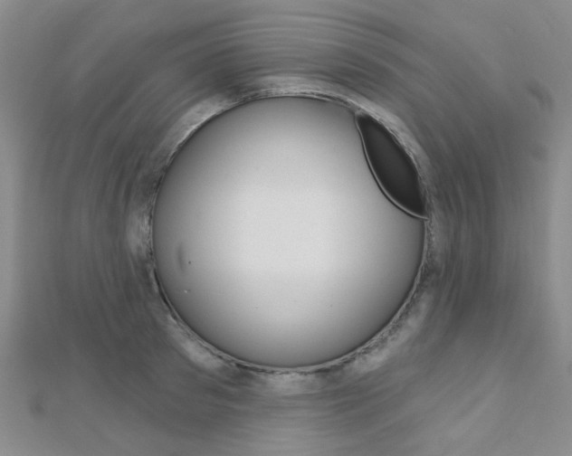 X0000112160897200908070936