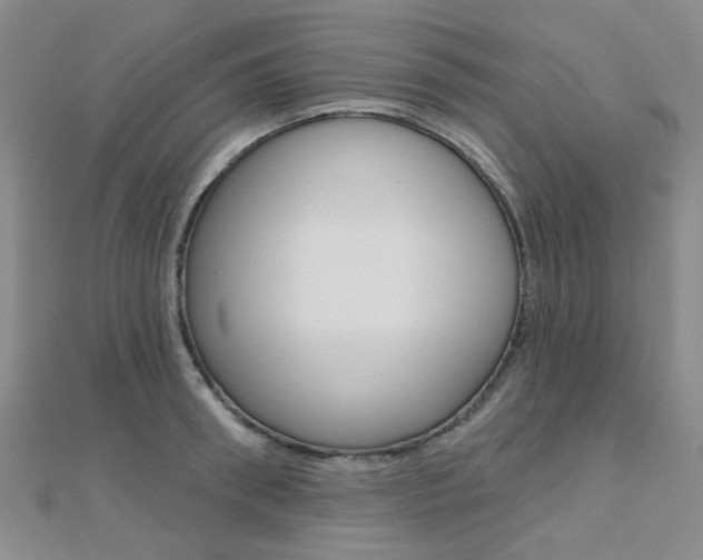 X0000112160898200908070936