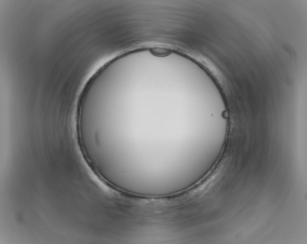 X0000112160902200908070936
