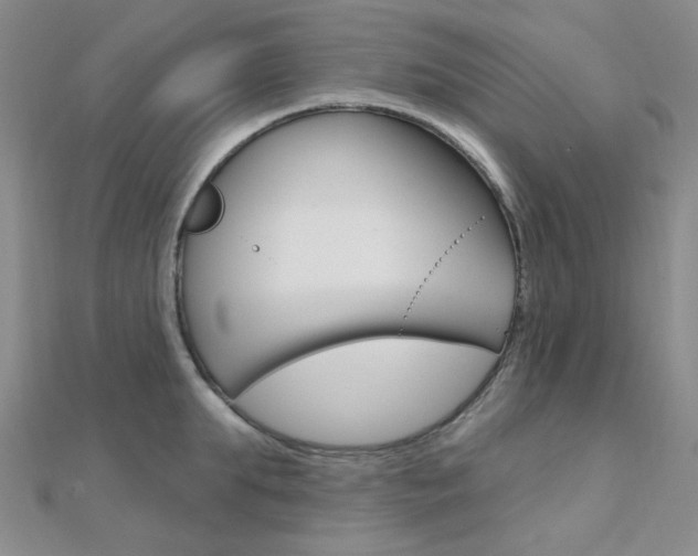 X0000112160903200908070936