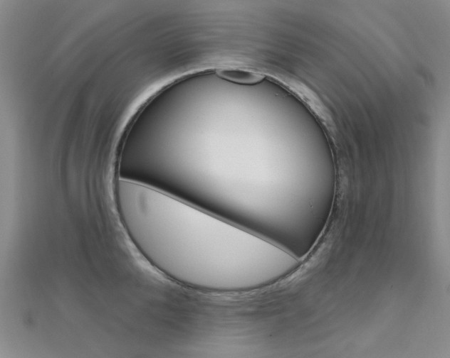 X0000112160904200908070936
