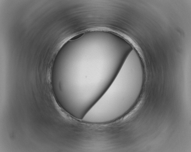 X0000112160905200908070936
