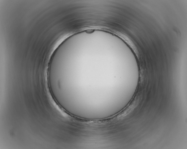 X0000112160906200908070936