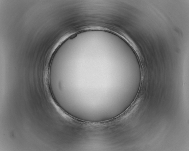 X0000112160909200908070936