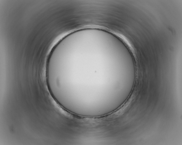X0000112160910200908070936