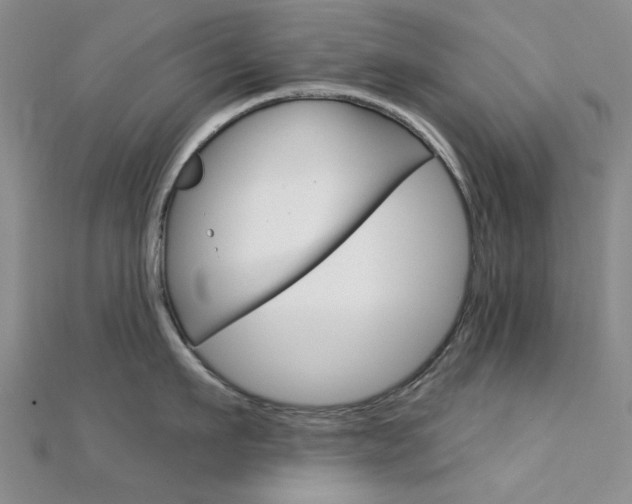 X0000112160911200908070936