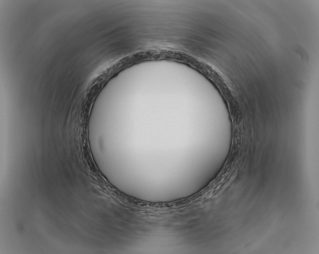 X0000112160919200908070935
