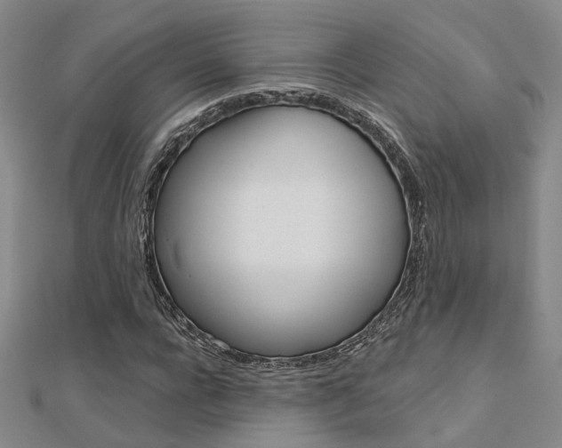 X0000112160920200908070935