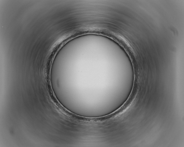 X0000112160922200908070935