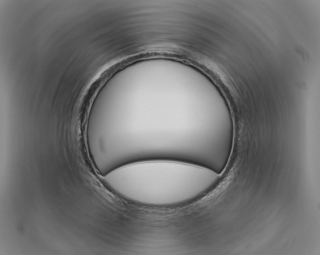 X0000112160923200908070935