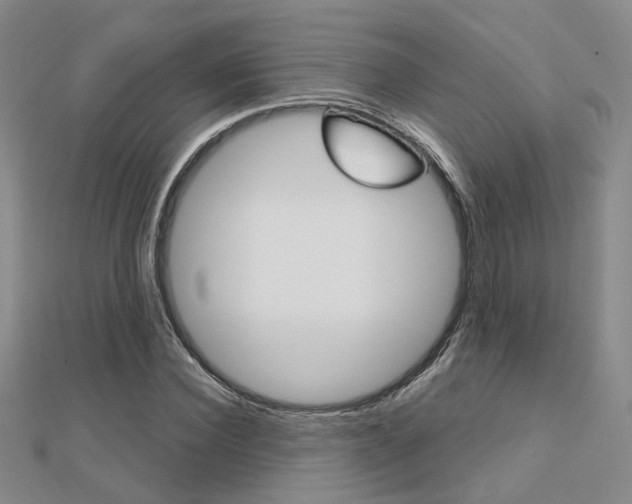 X0000112160924200908070935
