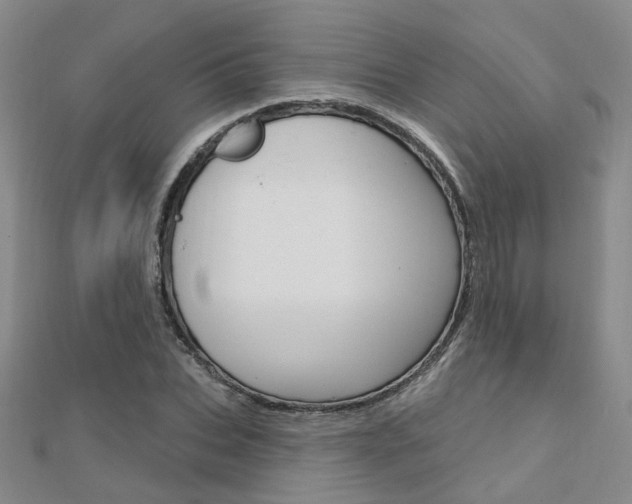 X0000112160927200908070935