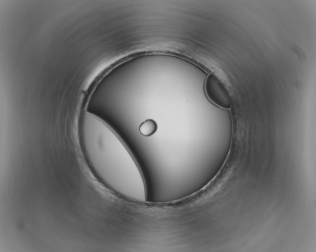 X0000112160936200908070935
