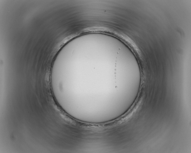 X0000112160937200908070935