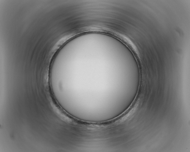 X0000112160938200908070935