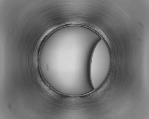 X0000112160939200908070935