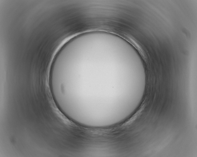 X0000112160940200908070935