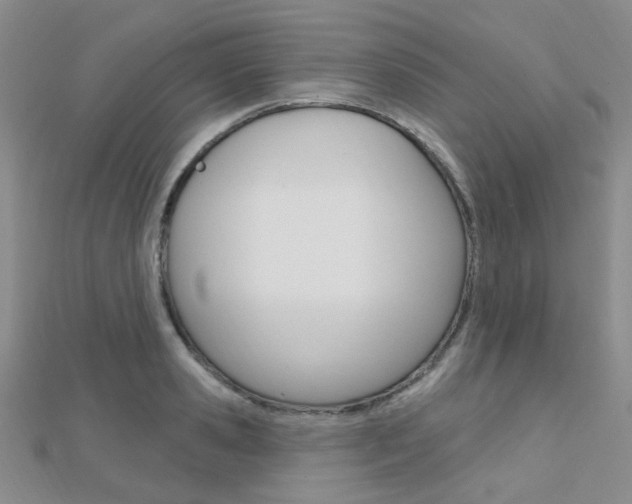 X0000112160941200908070935