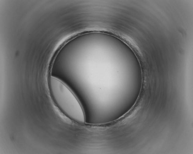 X0000112160942200908070935