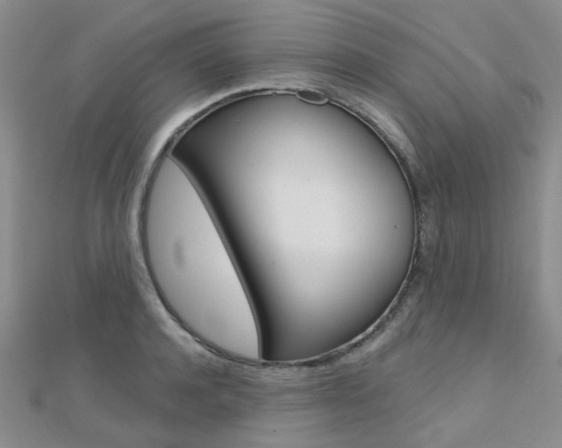 X0000112160944200908070935