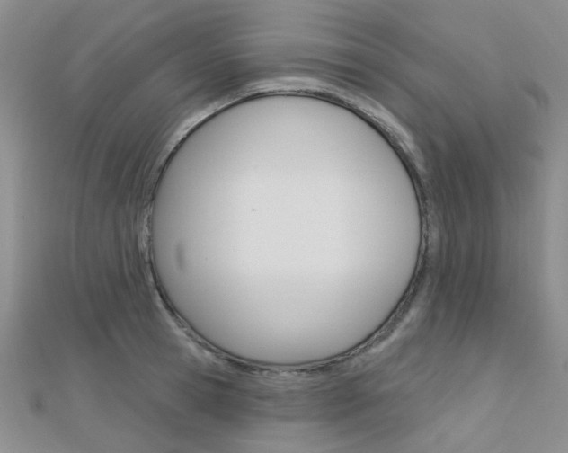 X0000112160945200908070935