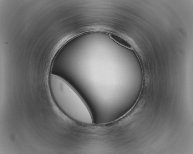 X0000112160946200908070935
