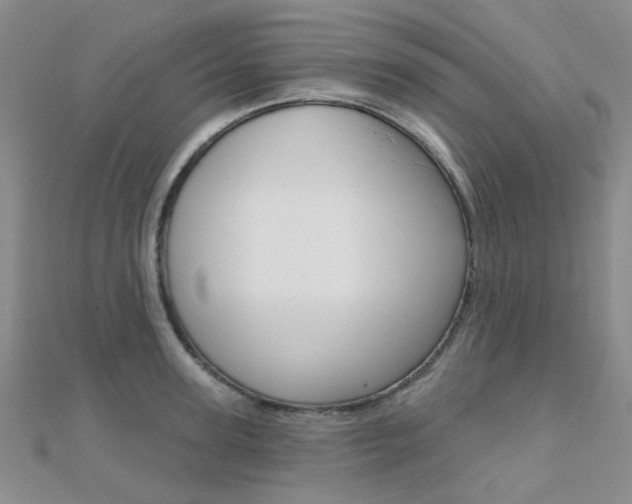 X0000112160947200908070935