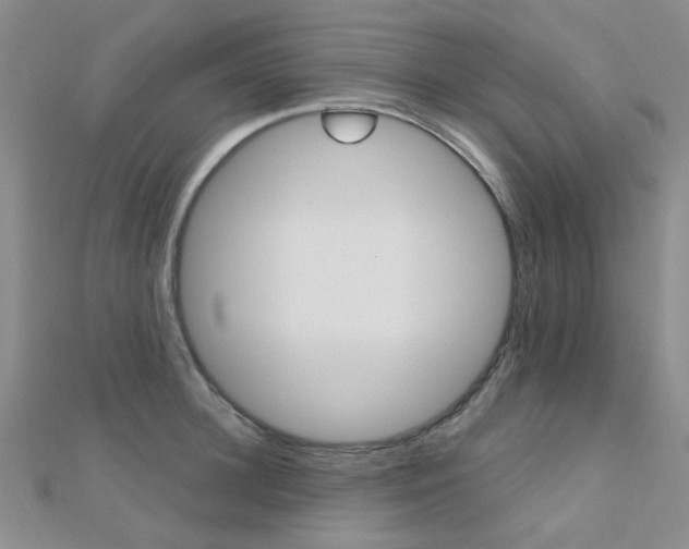 X0000112160948200908070935