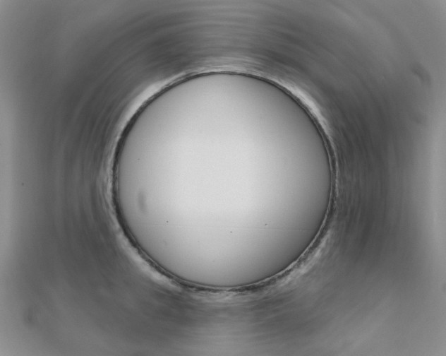 X0000112160949200908070935