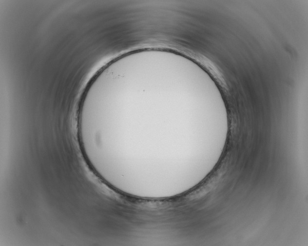 X0000112160950200908070935