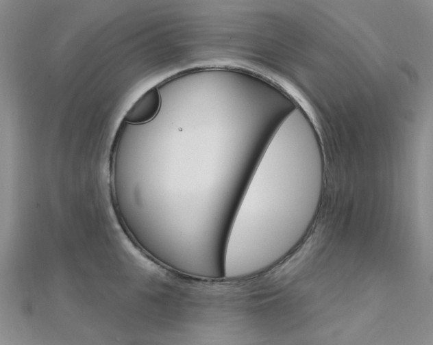 X0000112160951200908070935