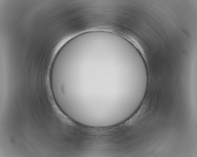 X0000112160952200908070935