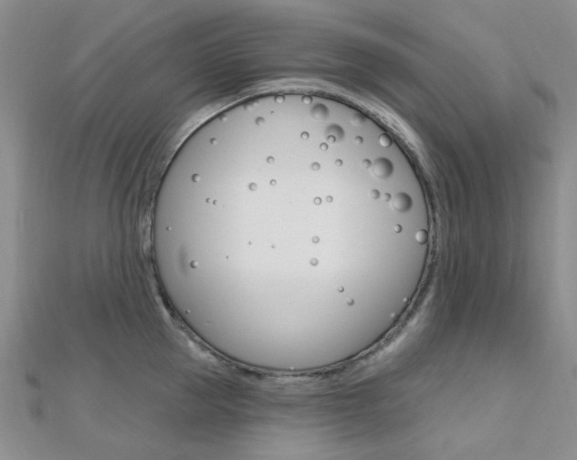 X0000112160953200908070935